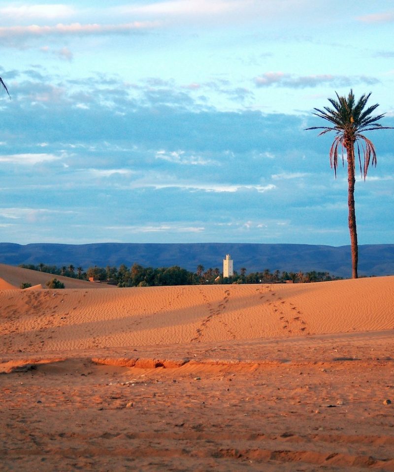 3 días Agadir de excursión al desierto Chegaga