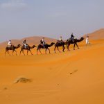 merzouga de trekking de chameau