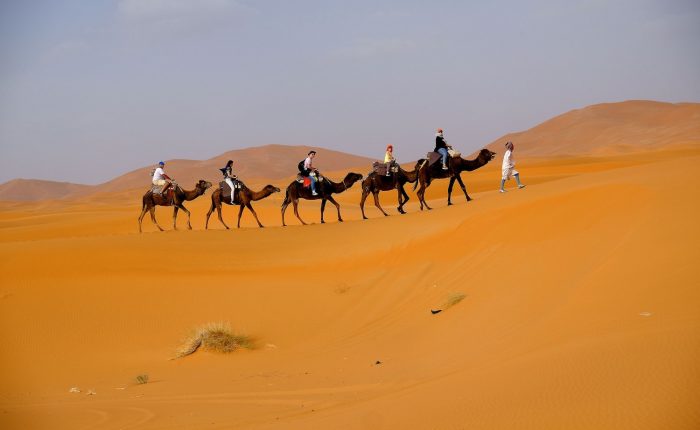 merzouga de trekking de chameau