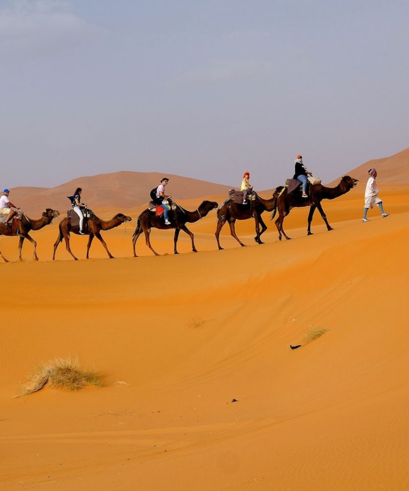camel trekking merzouga